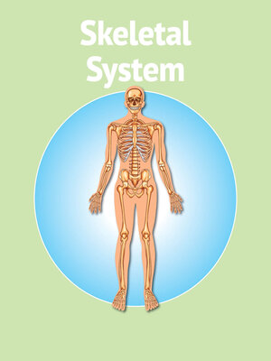 cover image of Human Body Skeletal System